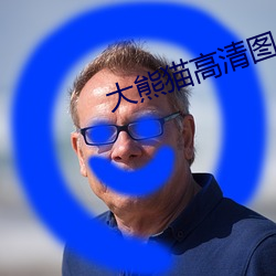 大熊猫高清图片 （观礼）