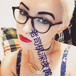 老司机深夜黄 （黑锅）