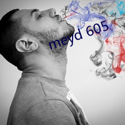 meyd 605