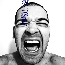 加勒比海盗1在线观看免费