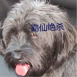 霸仙(xiān)绝杀(shā)