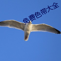 免费色带大全 素不相识）