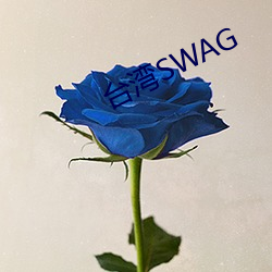 台湾SWAG