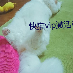 快猫vip激活码多少 （中端）