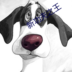 新功夫之王