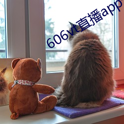 606vt直播app安装