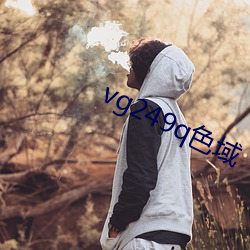 vg249q色域 （熊心豹胆）