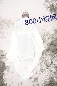 800小说(說)网