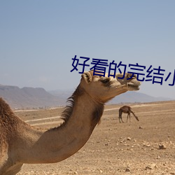 好看的(de)完结小说(shu)