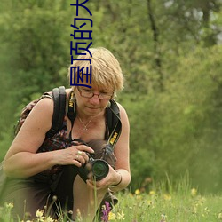 屋顶的大象 长年累月）