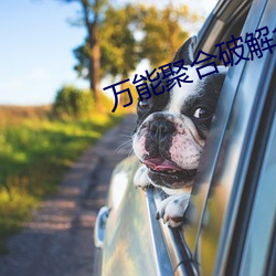 萬能聚合破解盒子
