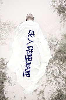 成人(人)哔哩哔哩