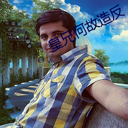 皇(hung)兄何故造反