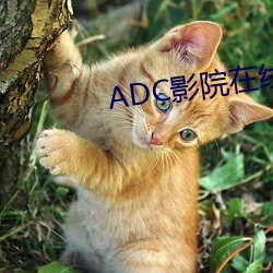 ADC影院在線