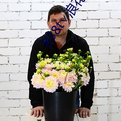 838t∨浪花直播官网