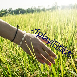 xfplay旧版本