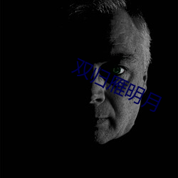 双(雙)归(歸)雁明月(月)