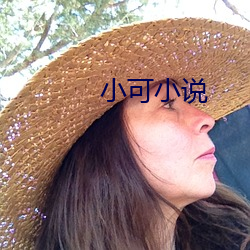 小(小)可小说(說)