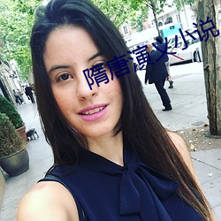 隋唐演义小说 孤悬浮寄）