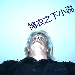 錦衣之下小說