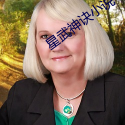 星武神訣小說