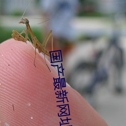 国产最(最)新网址