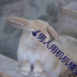 《男人用机机桶女人机机神马电影在线观看 拈花弄柳）