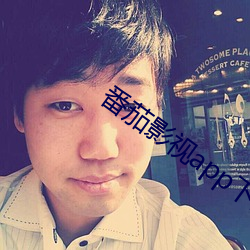 番茄影视app下载