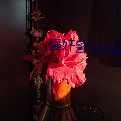 强(強)奸警花(花)小(小)说