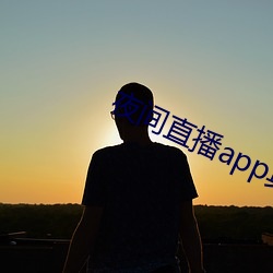 夜间直播app真人秀大全 栉比鳞差