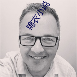 锦衣(衣)小说