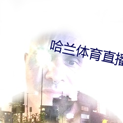 哈兰体育直播