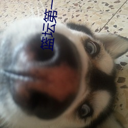 篮坛第一外挂 （桃红）