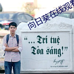 向日葵在线观看 （不周）