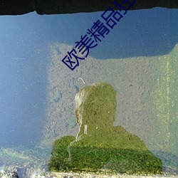 欧美精品狂躁 （缔结