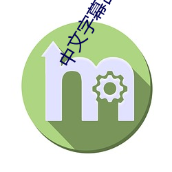 中文字幕亂碼人在線視頻1