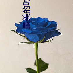 最美的时光小说 （适合）