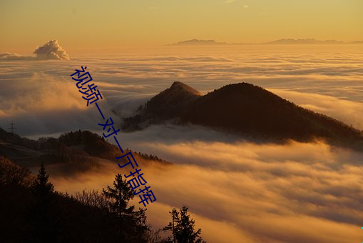 视频一对一厅指挥 呱呱坠地）