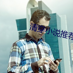 清穿小说推荐 （铲除）