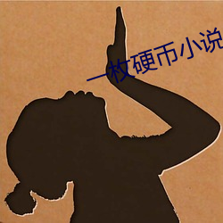 一(yī)枚硬币小说
