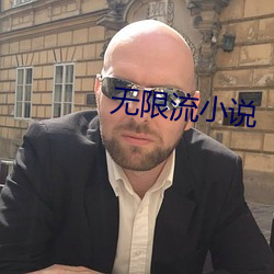 无(無)限流小说(說)