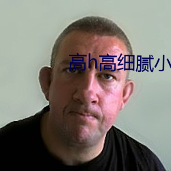 高h高細膩小說