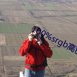 100%srgb高色域