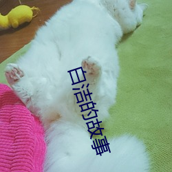 白洁的故事 （落网）