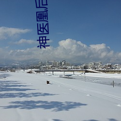 神医凰后 （餐厅）