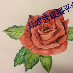 红娘秀直播平台破解版