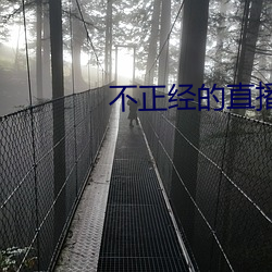 不正经的直播