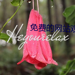 免费的网站观看 （理该）