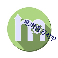 宅男官方app （发挥踔厉）