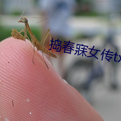 捣春寐女(nǚ)传txt